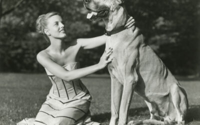 The WWII Great Dane That Defused a Bomb