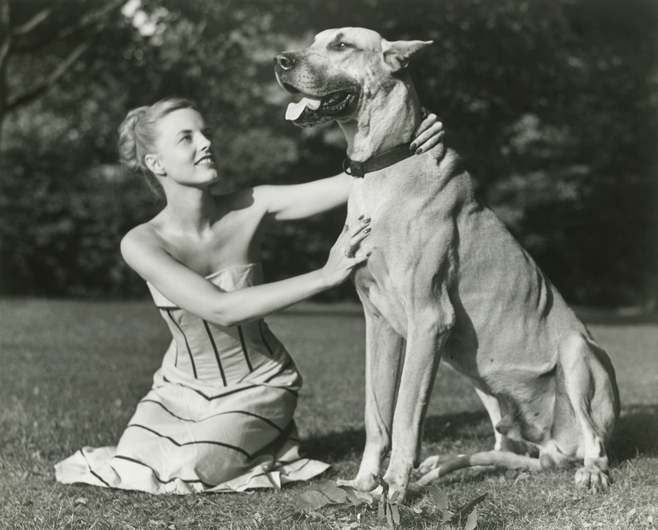 The WWII Great Dane That Defused a Bomb