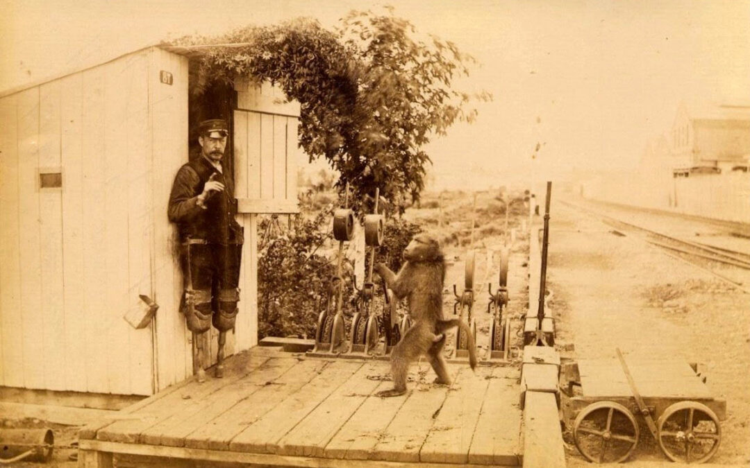 Jack the baboon signalman with his disabled human companion James Wide in Uitenhage, South Africa, c. 1885