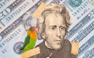 The Curious Tale of Andrew Jackson’s Swearing Parrot at His Funeral