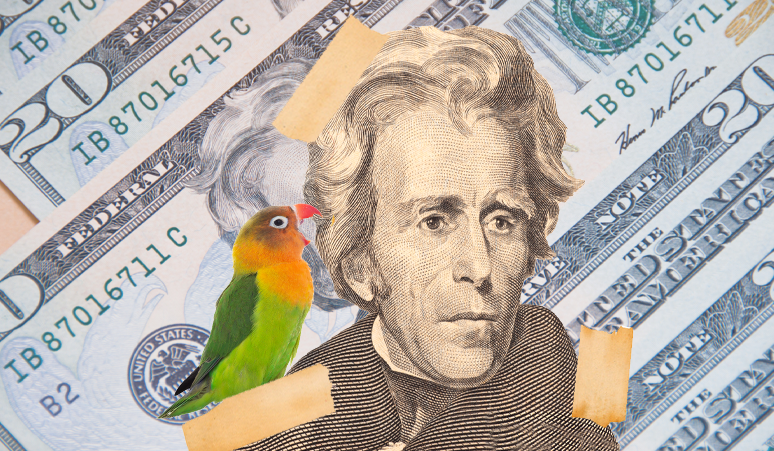 The Curious Tale of Andrew Jackson’s Swearing Parrot at His Funeral